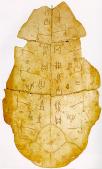 [Picture of Oracle Bone]